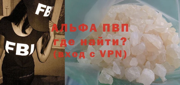 ешки Новодвинск