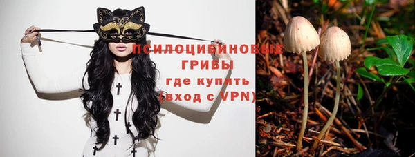 герыч Ельня