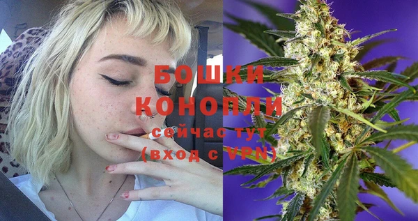 герыч Ельня