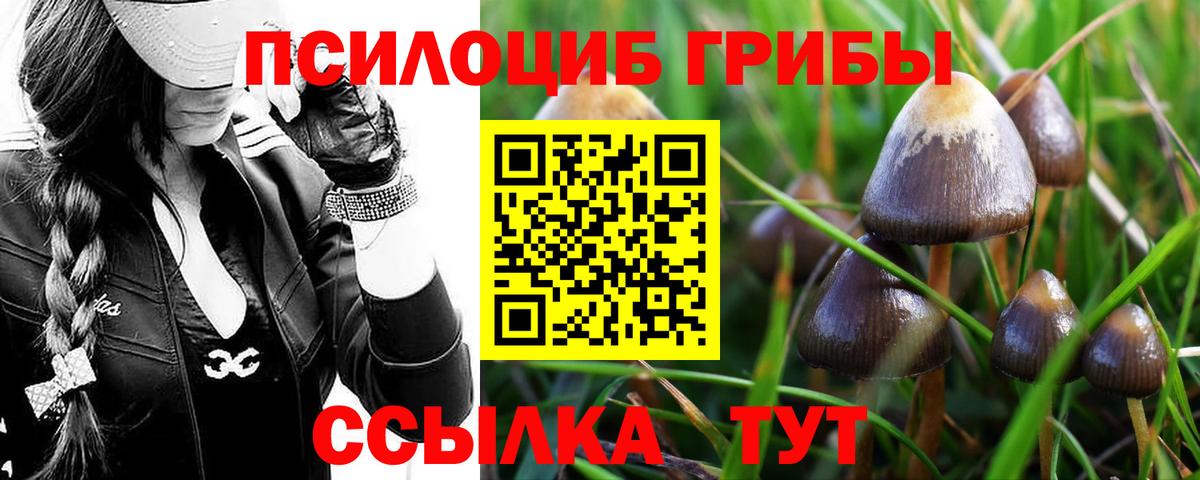 Михайловск  Псилоцибиновые грибы Cubensis  Галлюциногенные грибы мухоморы  Вход с VPN 