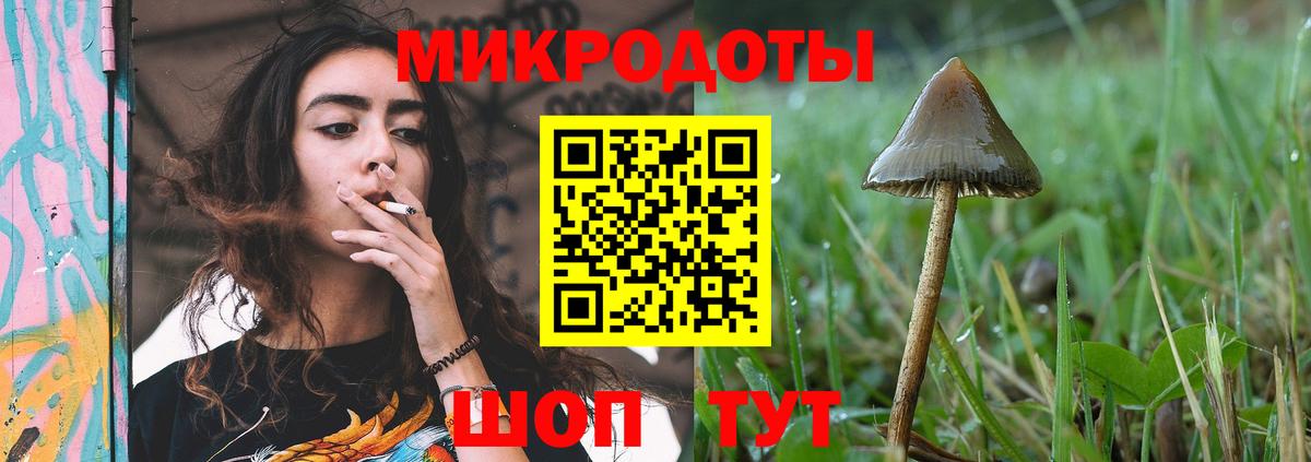 Галлюциногенные грибы Magic Shrooms Михайловск
