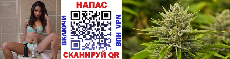 Конопля MAZAR  Михайловск 